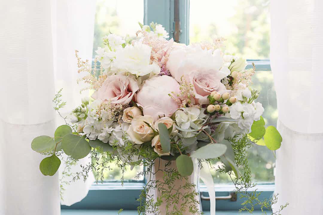 Hero image for supplier Flowers & Plants Co.