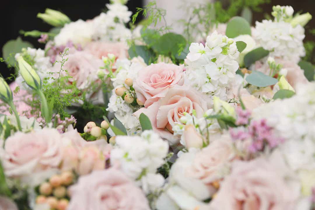 Hero image for supplier Flowers & Plants Co.
