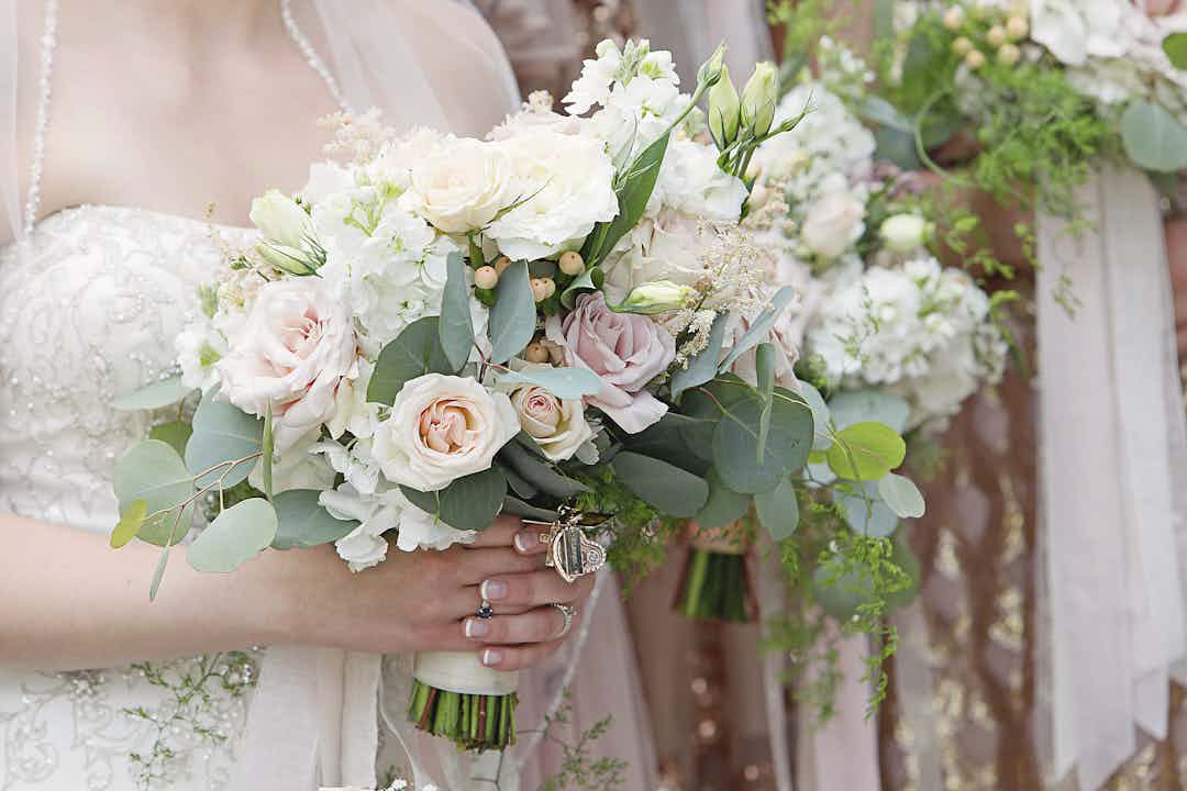Hero image for supplier Flowers & Plants Co.