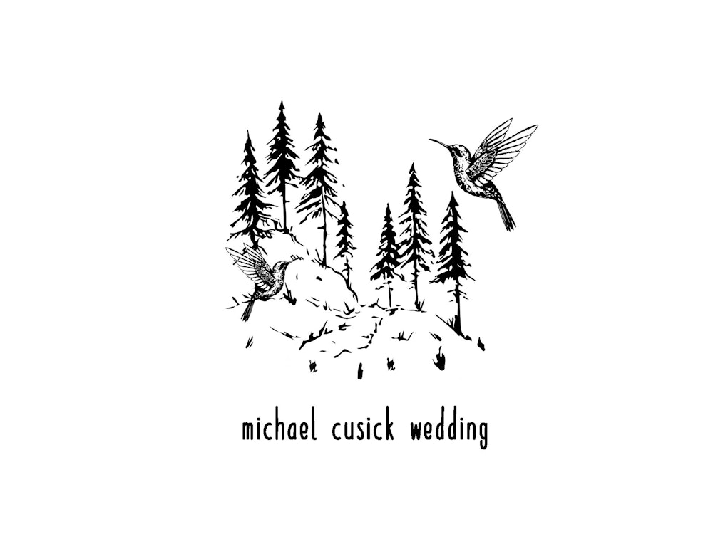 Hero image for supplier Michael Cusick Wedding Photography