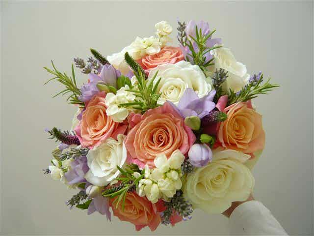 Hero image for supplier Floribundi