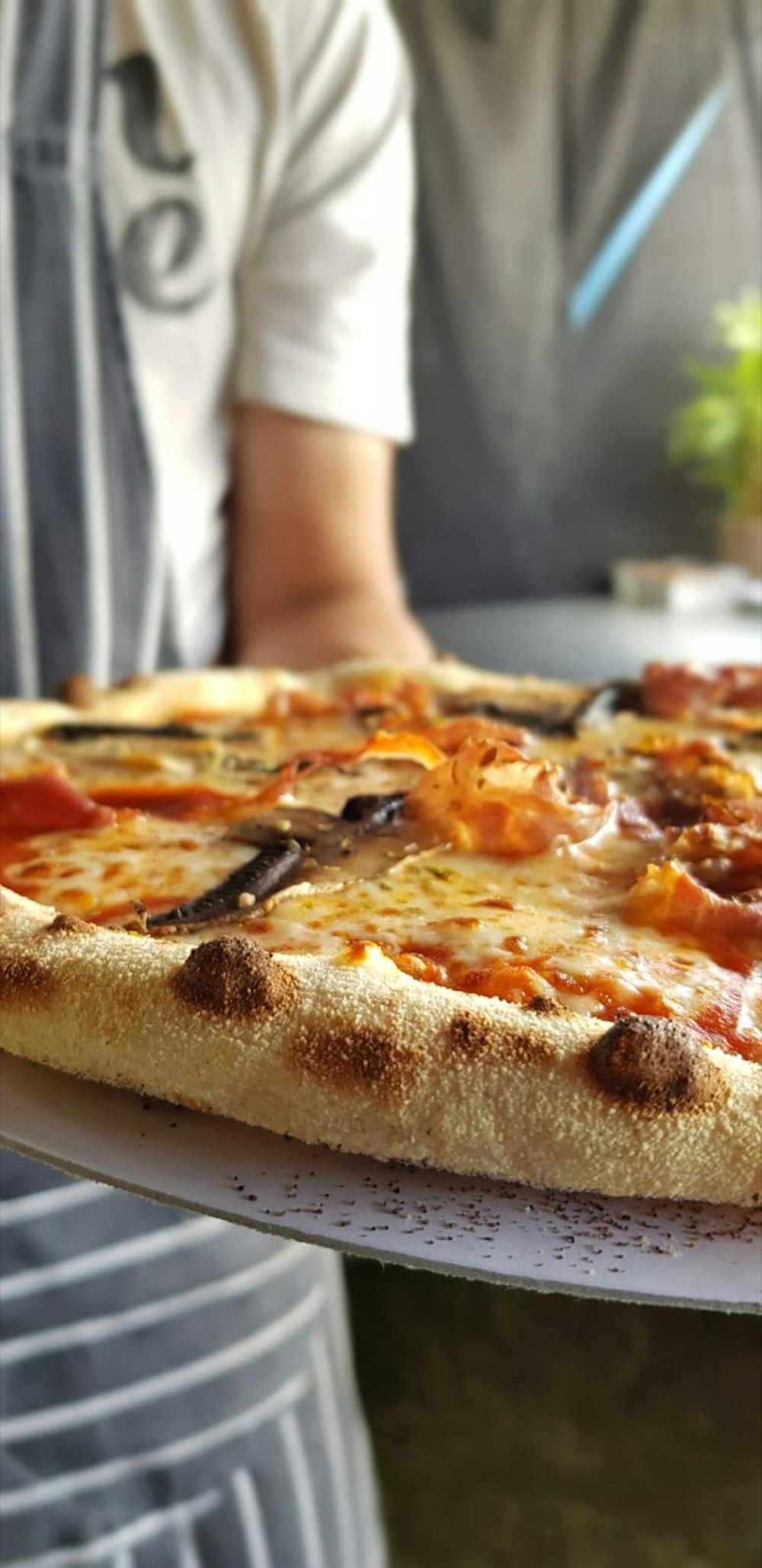 Hero image for supplier Renato's Pizza Co