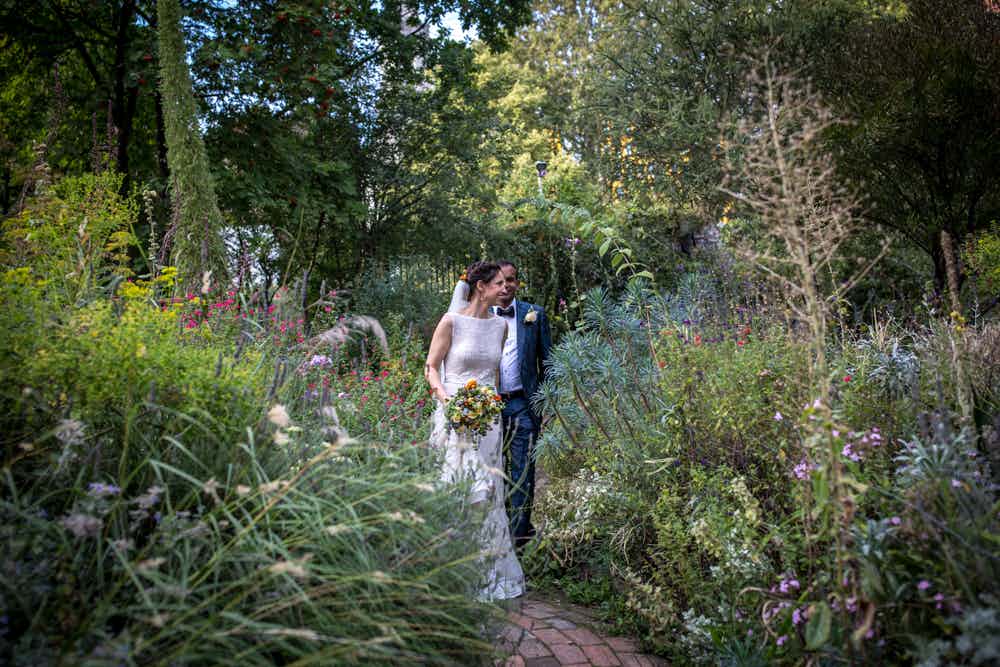 Hero image for supplier The Phoenix Garden