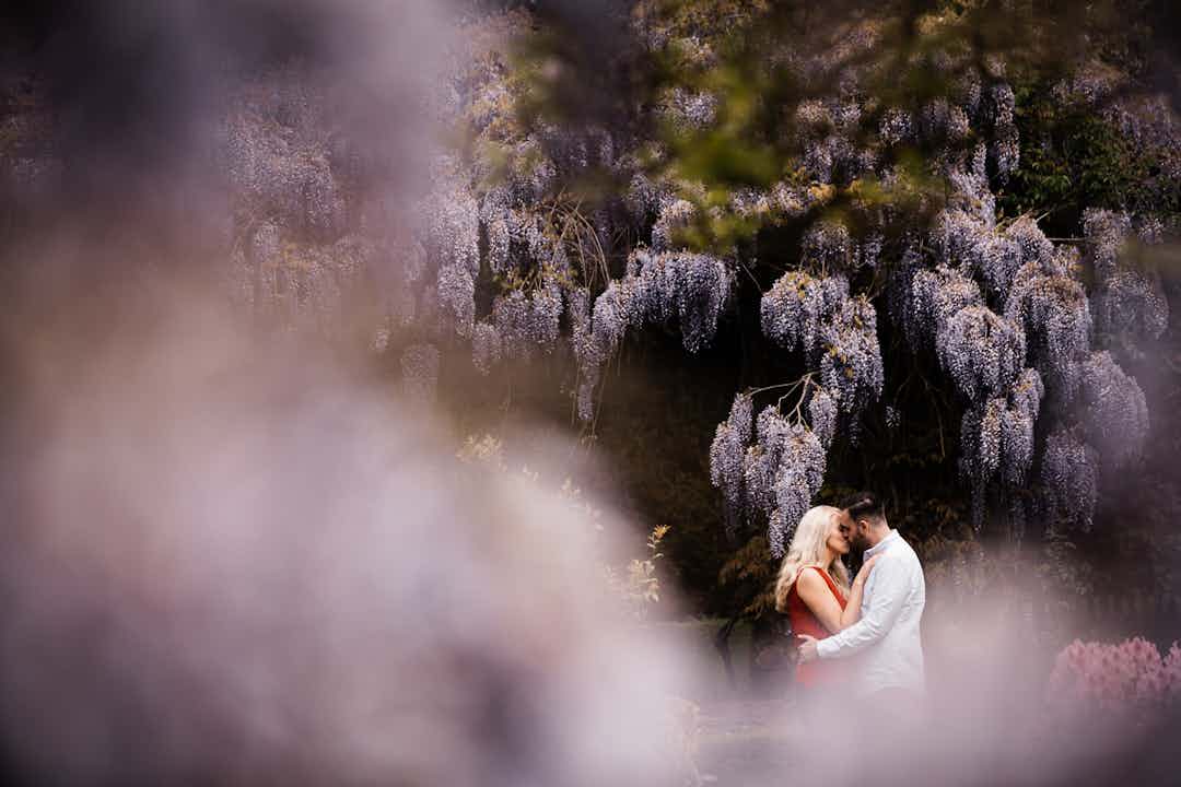 Hero image for supplier Joel Davies Photography