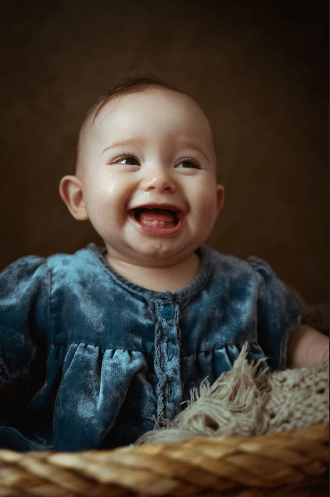 Hero image for supplier Owen Harvey