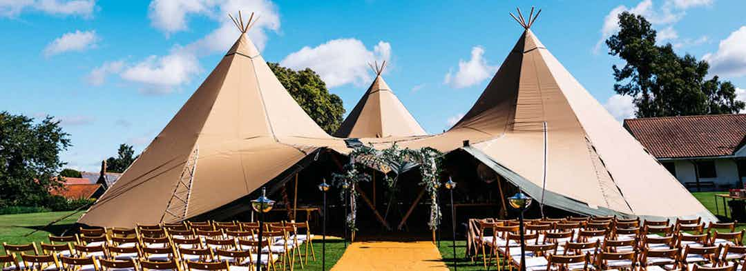 Hero image for supplier Thomas Tipis