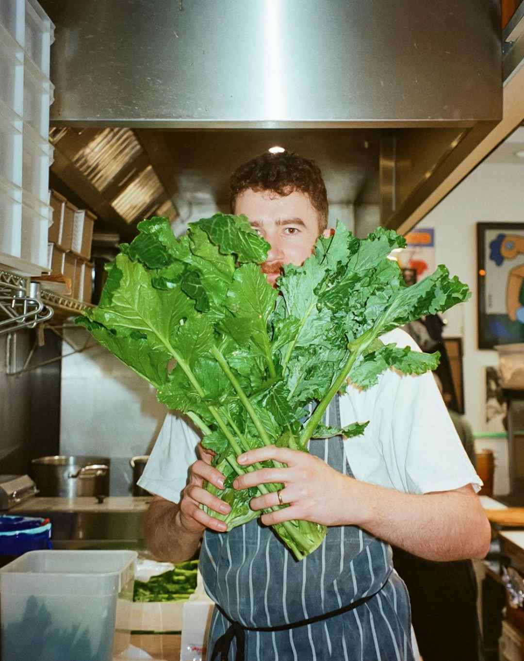 Doms Subs Impeccable Sandwiches Book On Togather doms-subs-impeccable-sandwiches-book-on-togather