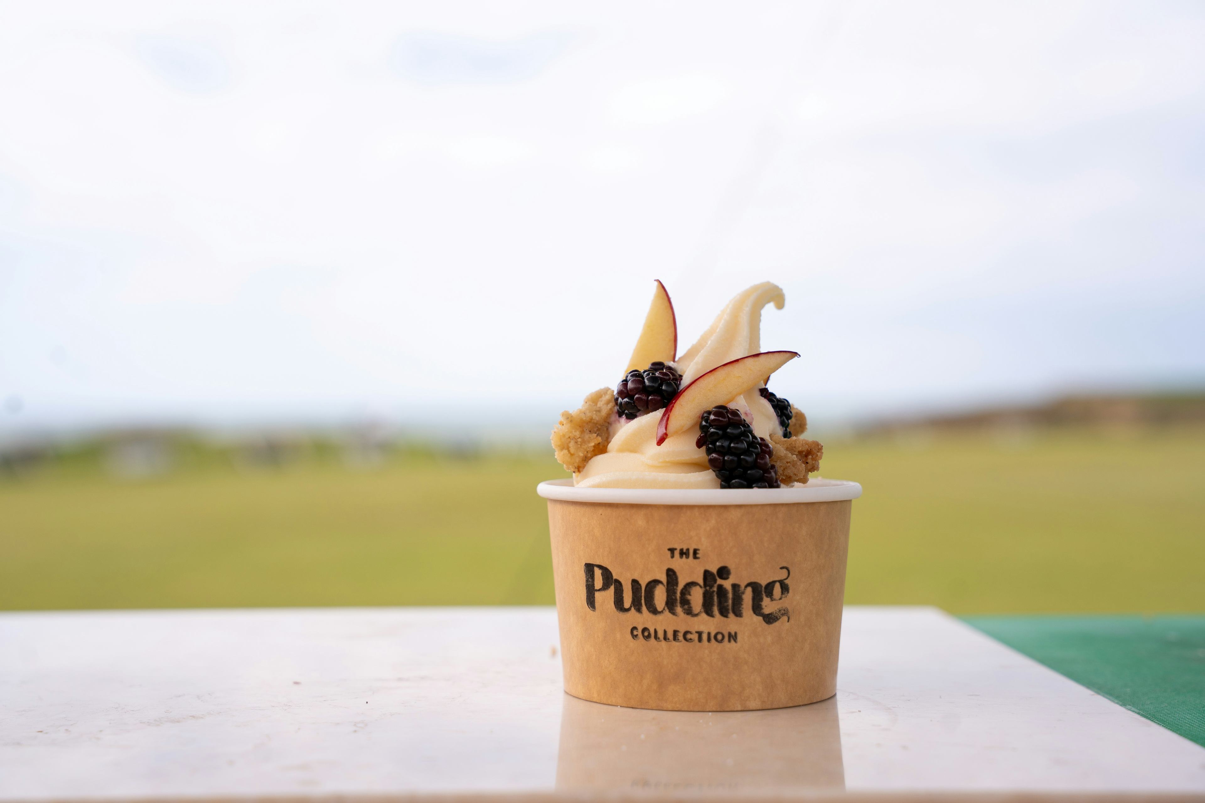 The Pudding Collection