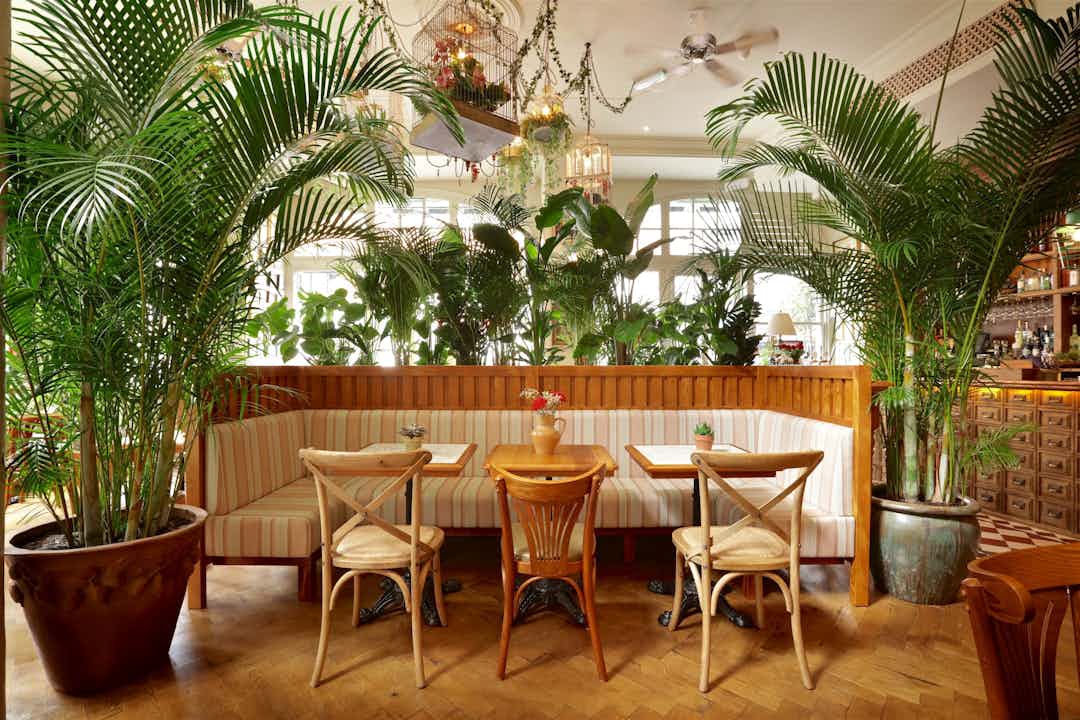 Hero image for supplier Mr Fogg's House of Botanicals