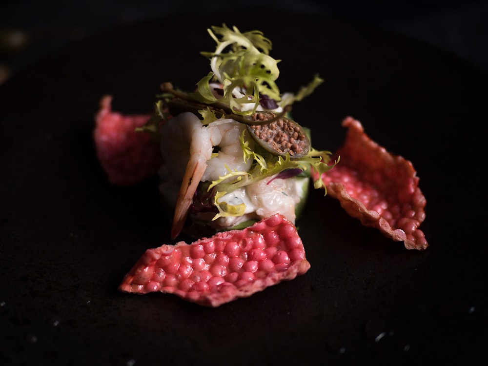 Hero image for supplier Gastro Catering