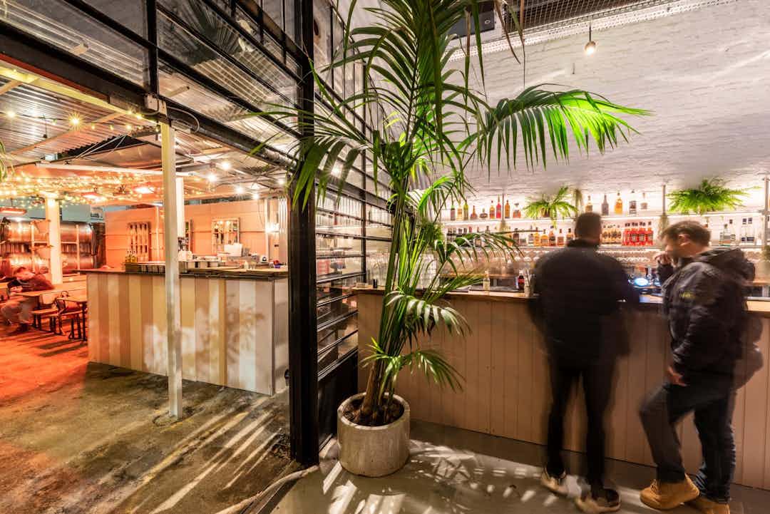 Hero image for supplier Skylarking Peckham