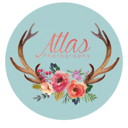 Supplier avatar