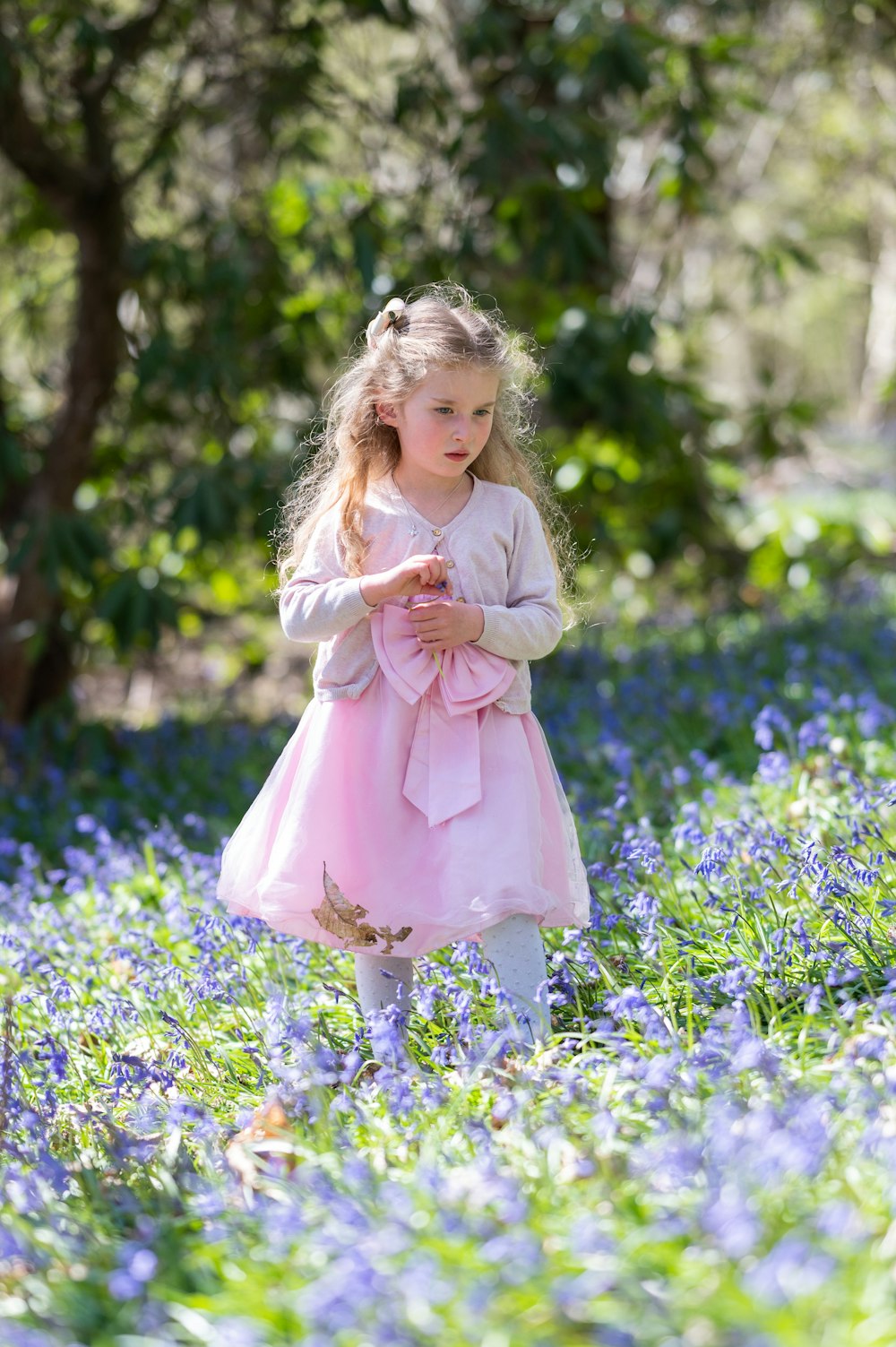 Hero image for supplier Emily Mudie Photography