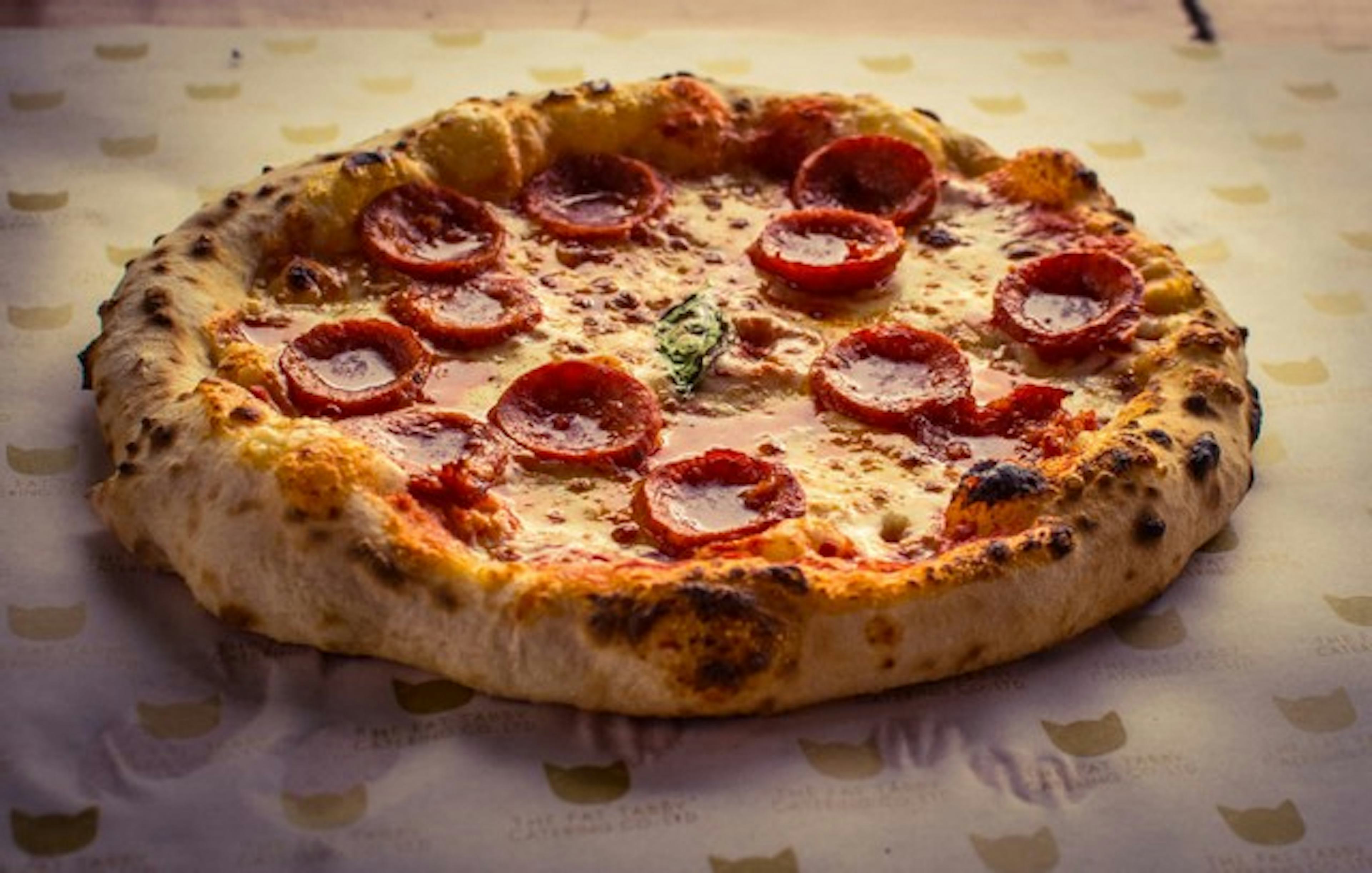 The Fat Tabby Catering Co