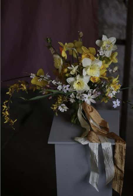 Hero image for supplier Wildstems