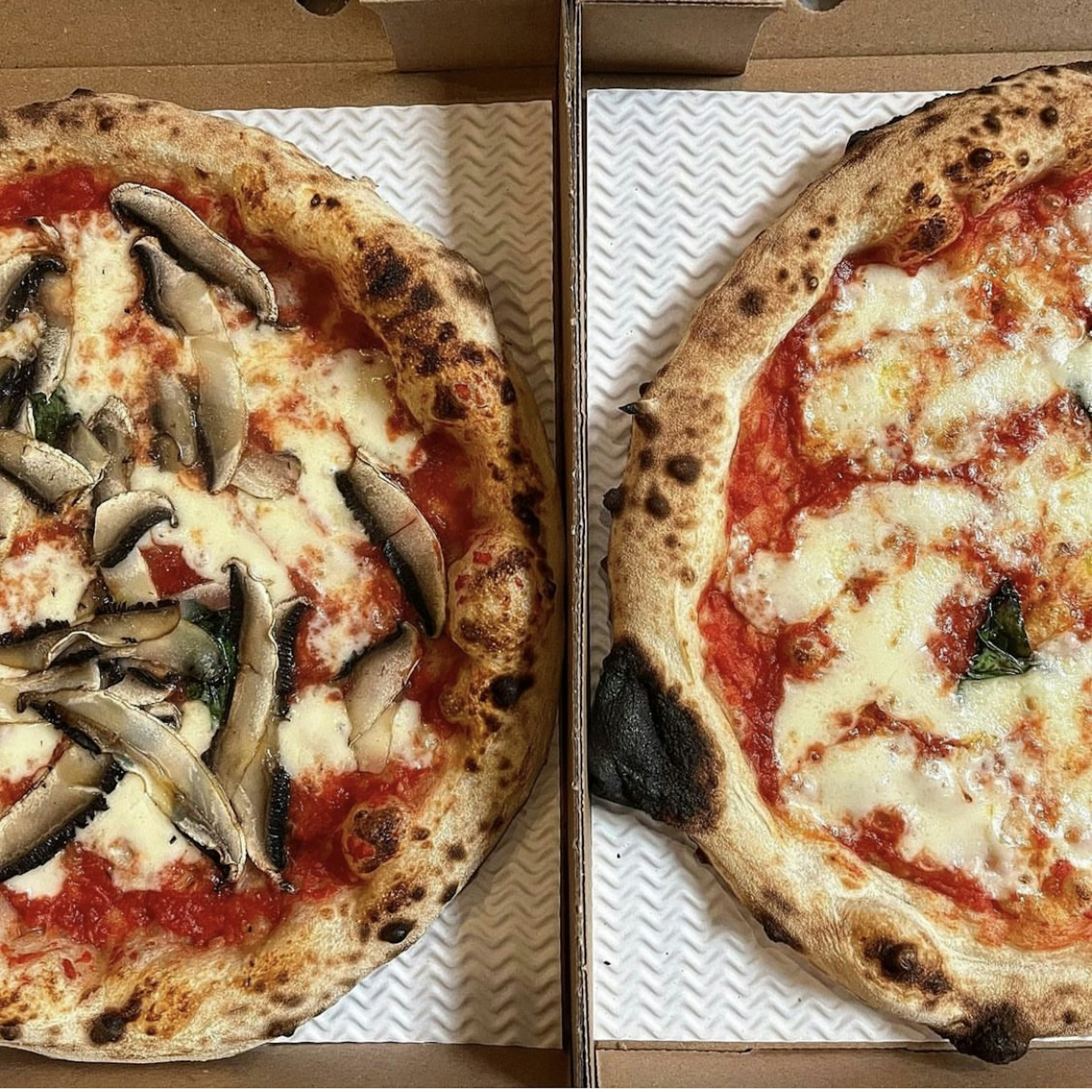 Dough Boyz Collective