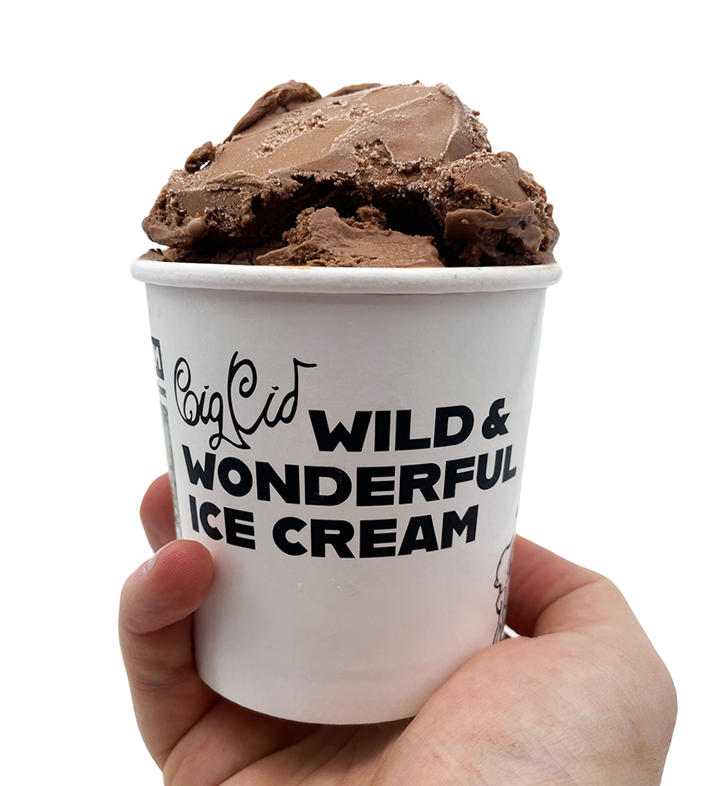Hero image for supplier Big Kid Ice Cream