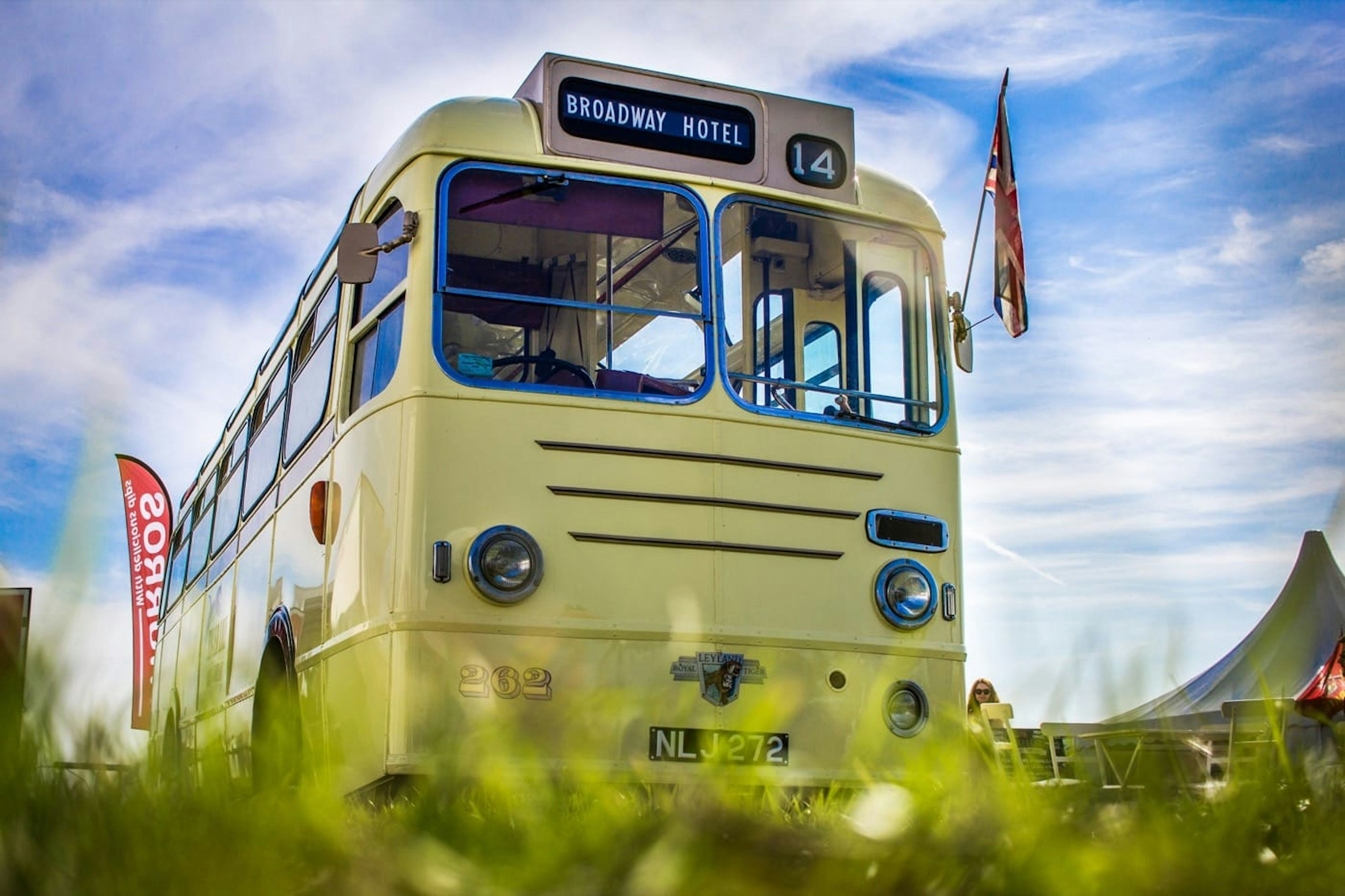 Tiger Lily Bus Company
