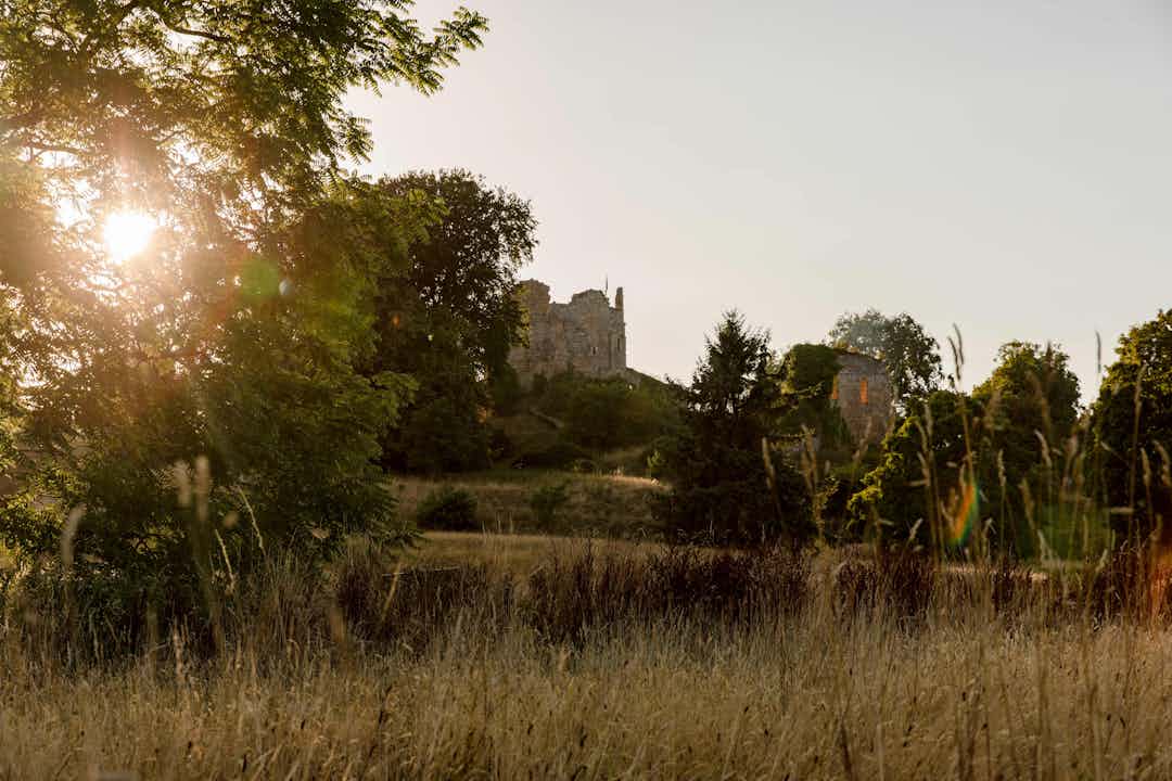 Hero image for supplier Hawarden Estate