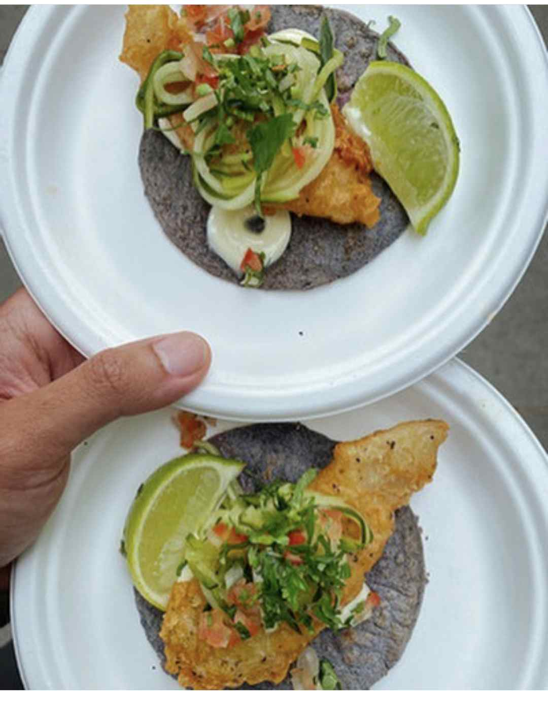 Hero image for supplier Taco Mo