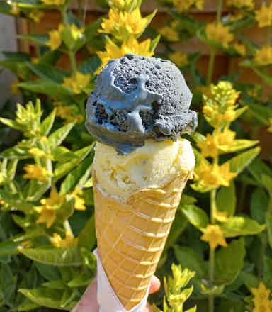 Supplier menu item image