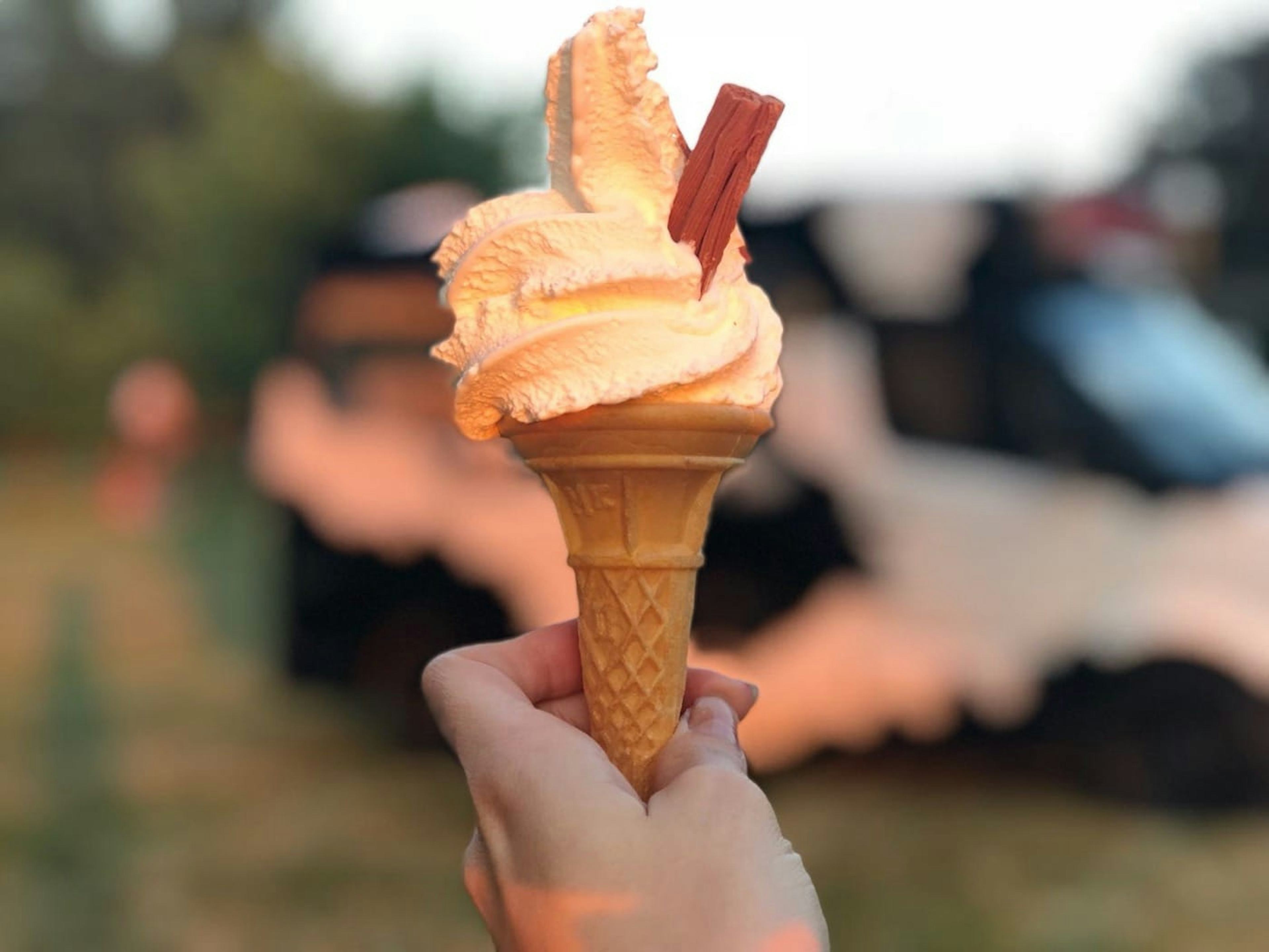 Loraso Ice Cream