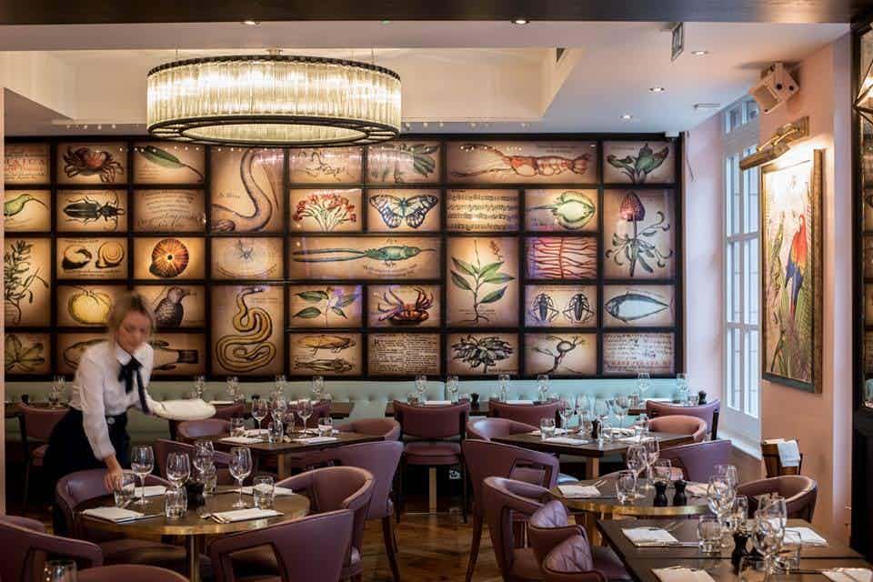 Hero image for supplier The Botanist Sloane Square