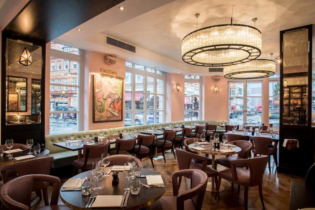 Hero image for supplier The Botanist Sloane Square